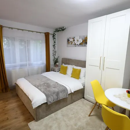 Lägenhet Hushu Connect Timişoara
